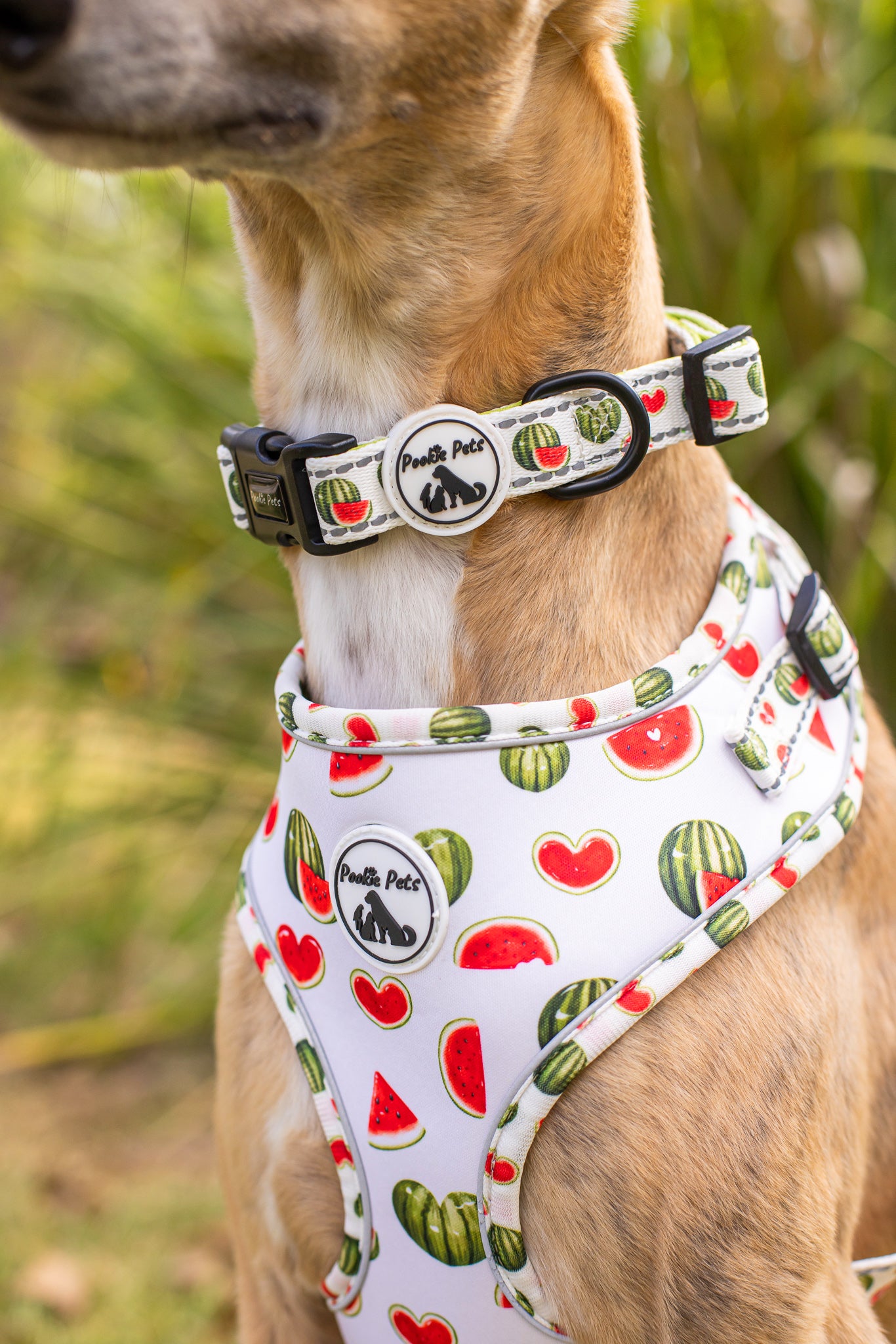 Vibrant & Adjustable Comfort Collar in Watermelon Design by Pookie Pets 