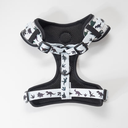 Dinosaur-themed Reflective Adjustable Comfort Harness - Pookie Pets