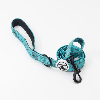 Vibrant DANDELION Leash by Pookie Pets