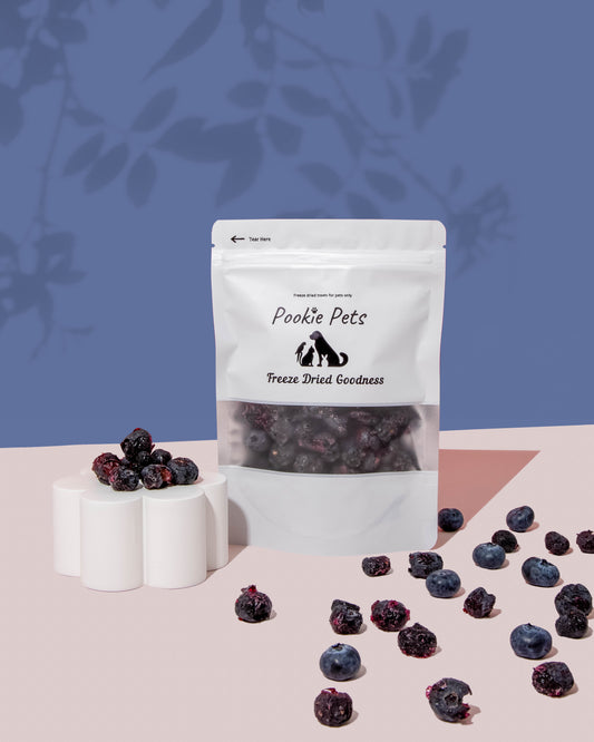 Freeze Dried Blueberries