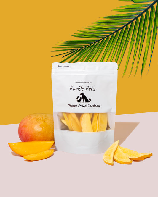 Freeze Dried Mango