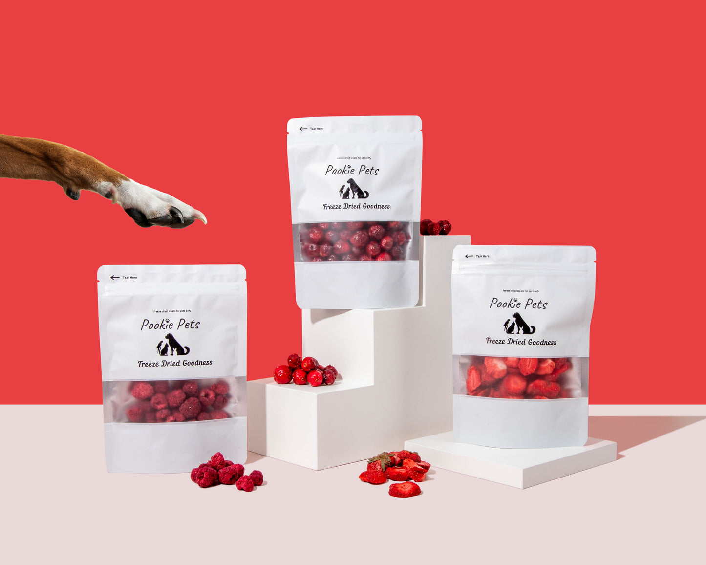 Freeze Dried Raspberry