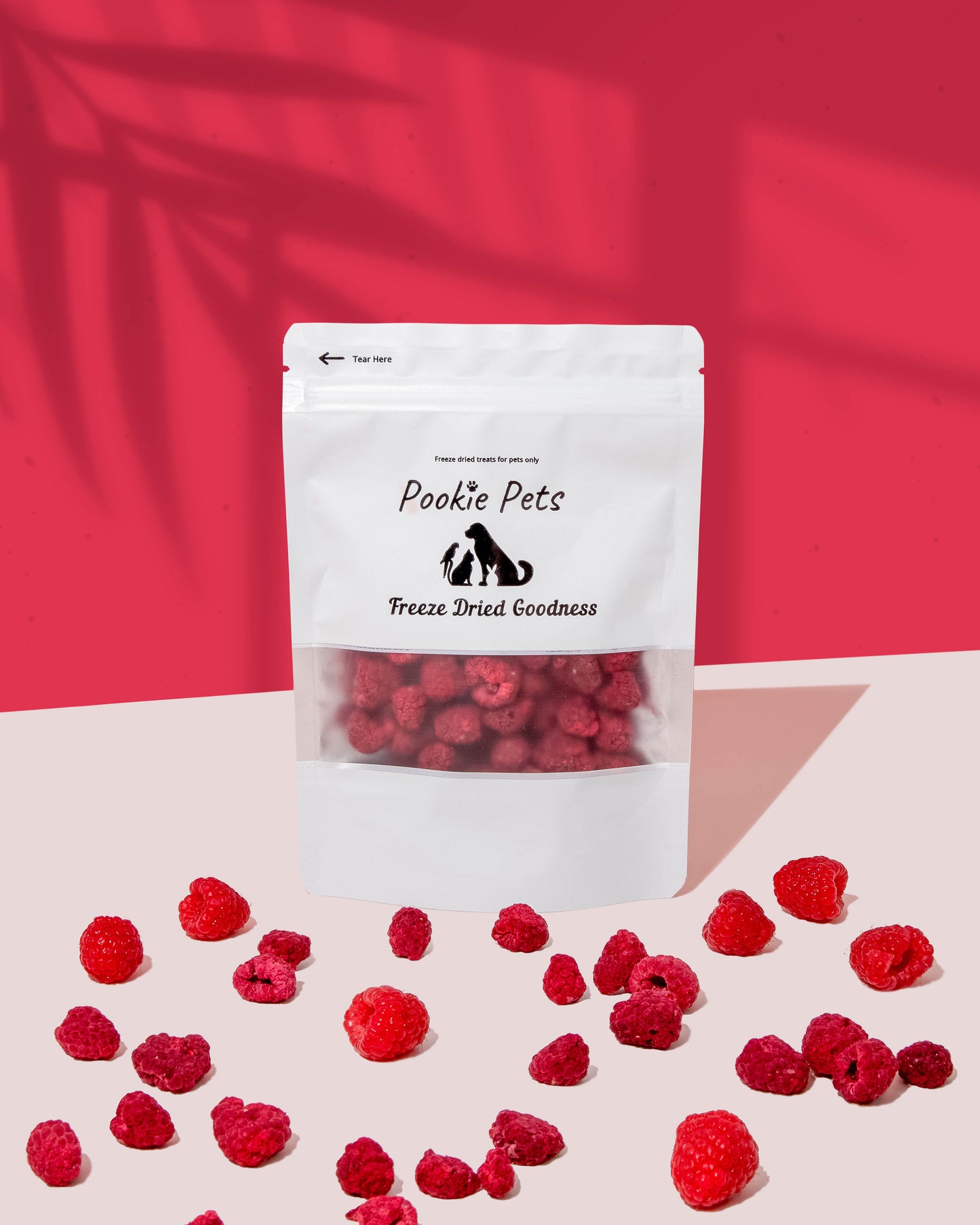 Freeze Dried Raspberry